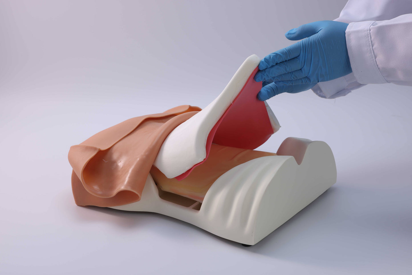Abdominal Suturing Trainer