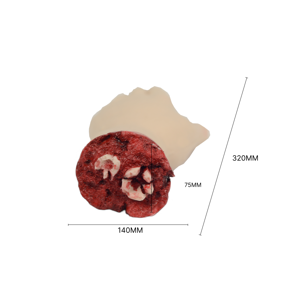 Blast & Amputation Kit Halloween Zombie Scars Fake Scar Bloody Costume Makeup Halloween Decoration Terror Wound Scary Blood Simulated Combat Injuries FX Mass Casualty Trauma