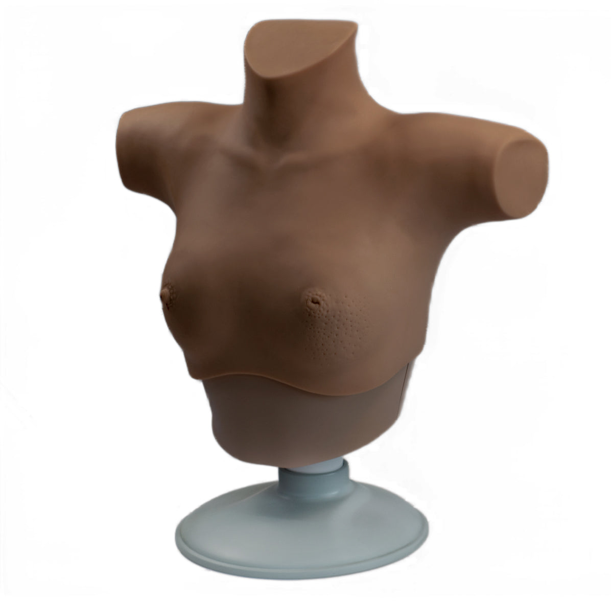 Breast Cancer Palpation and Visual Diagnosis Training Model