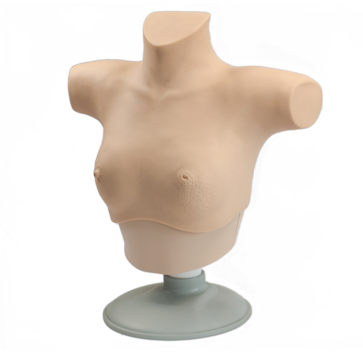 Breast Cancer Palpation and Visual Diagnosis Training Model