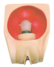 Female Contraception Practice Simulator Model