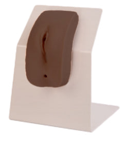 Female Urethral Catheterization Model