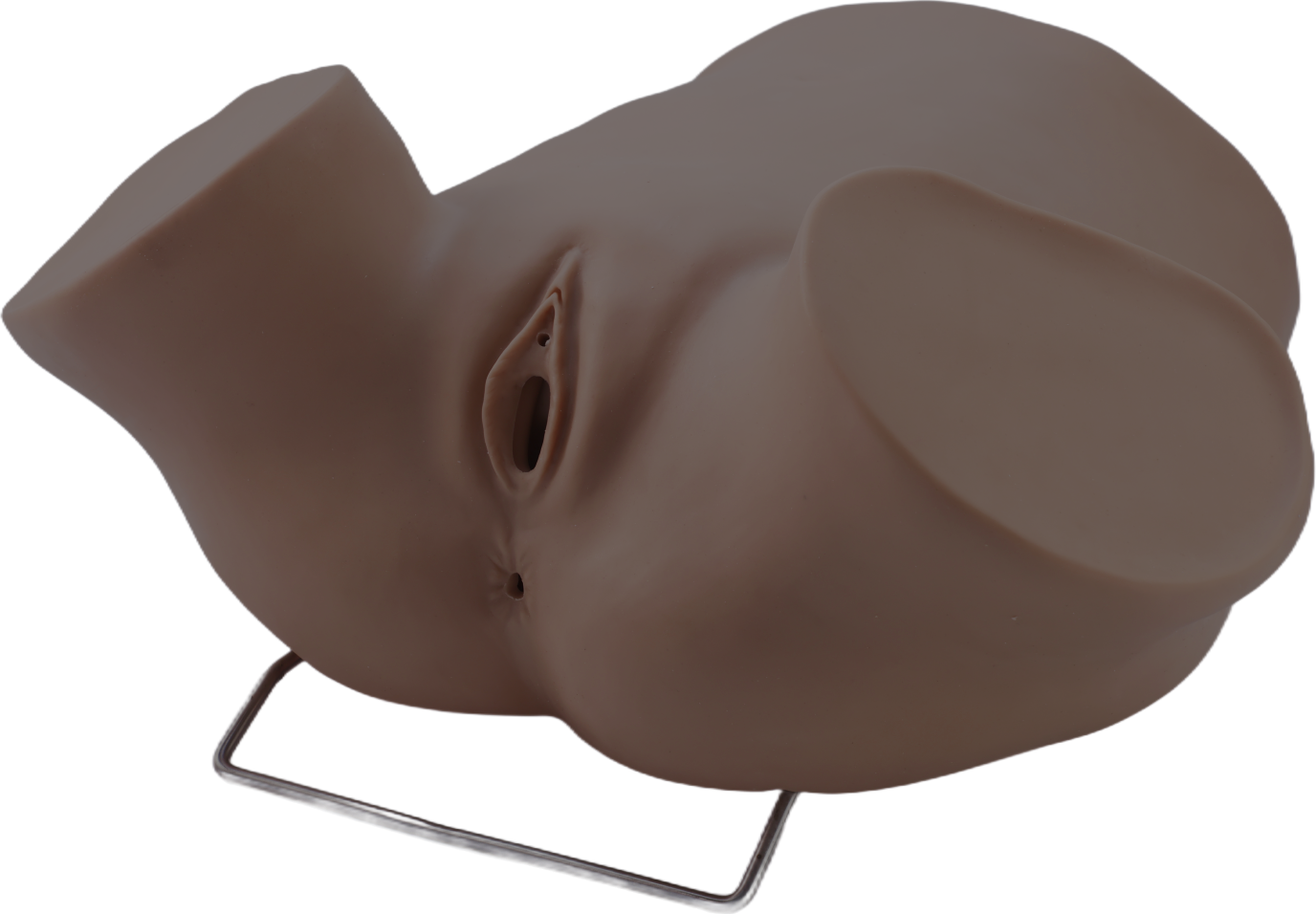 Diagnostic Curettage Pelvic Training Model