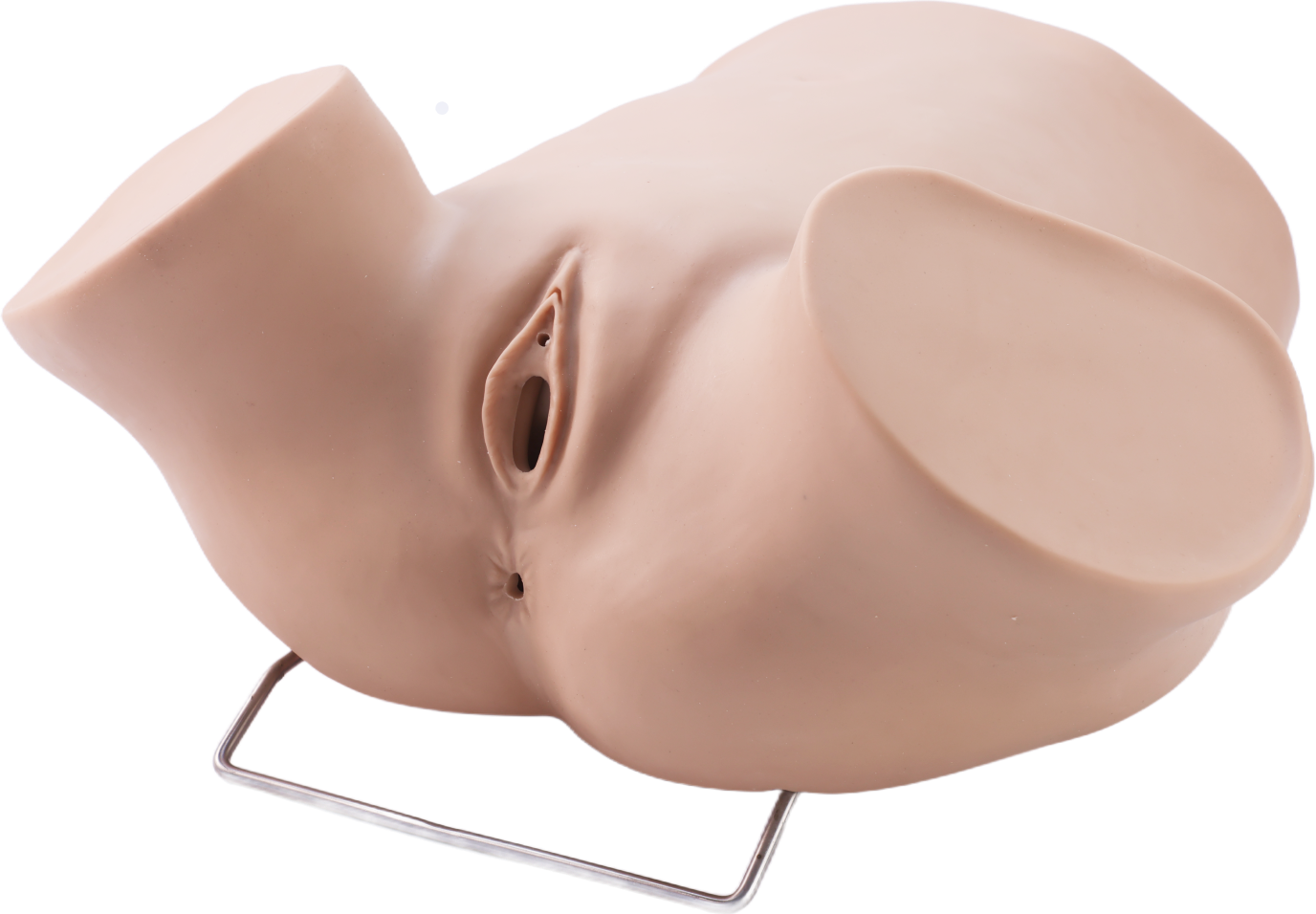 Diagnostic Curettage Pelvic Training Model