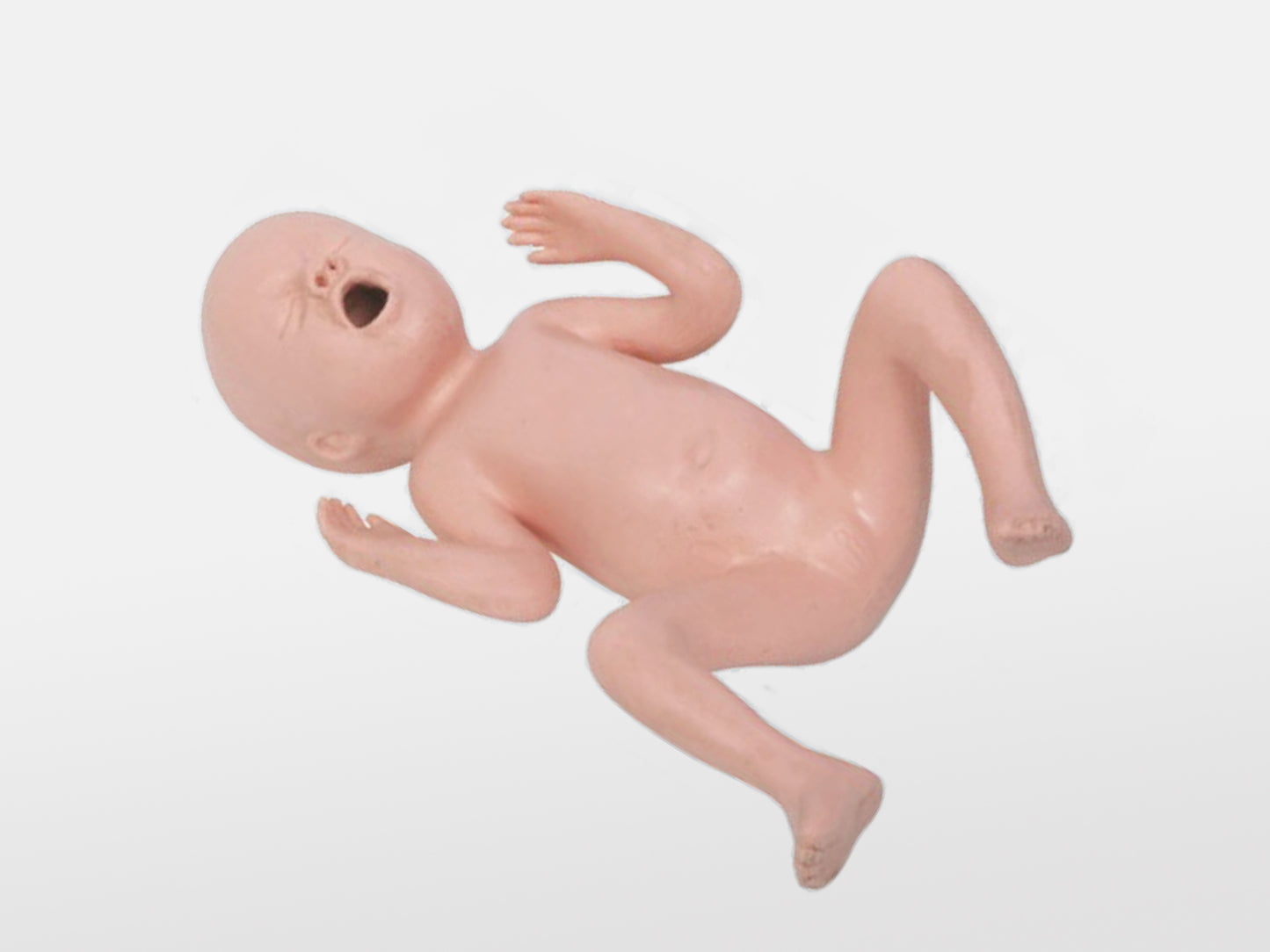 Thirty Weeks Premature Infant Model