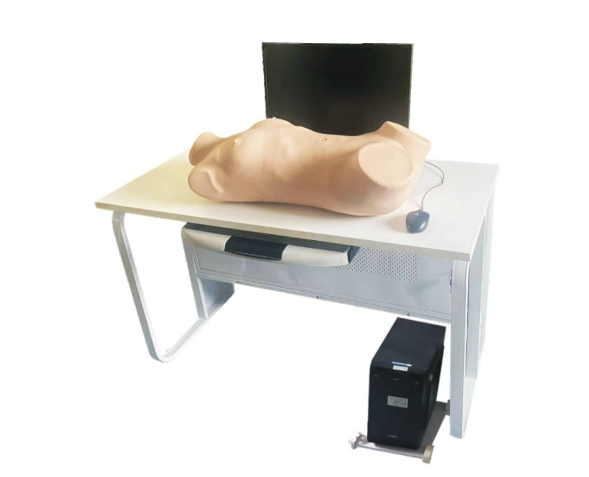 Abdominal Examination Model