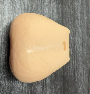 Testis Diagnosis Model