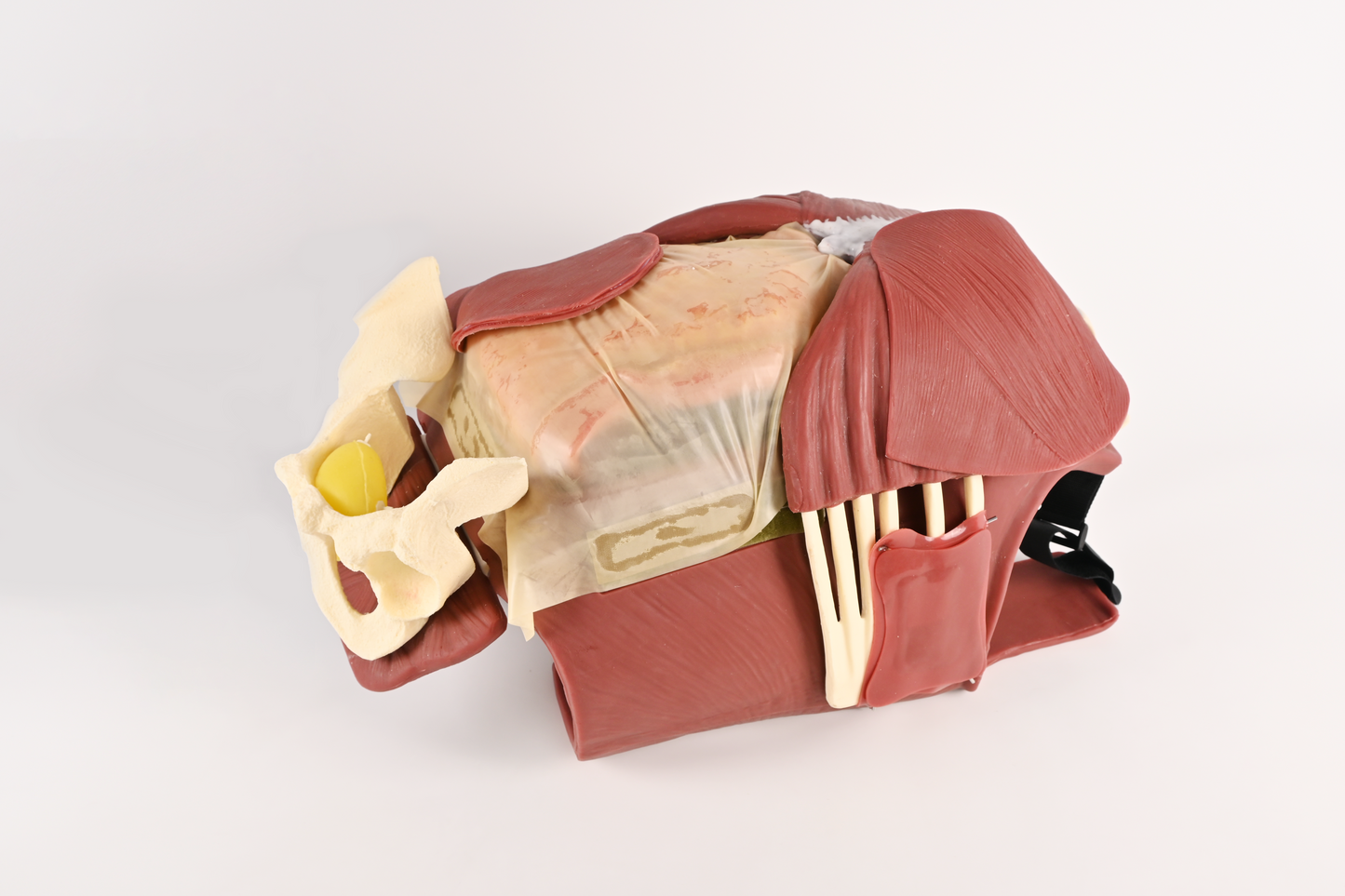 Thoracotomy and Pericardiocentesis Suit