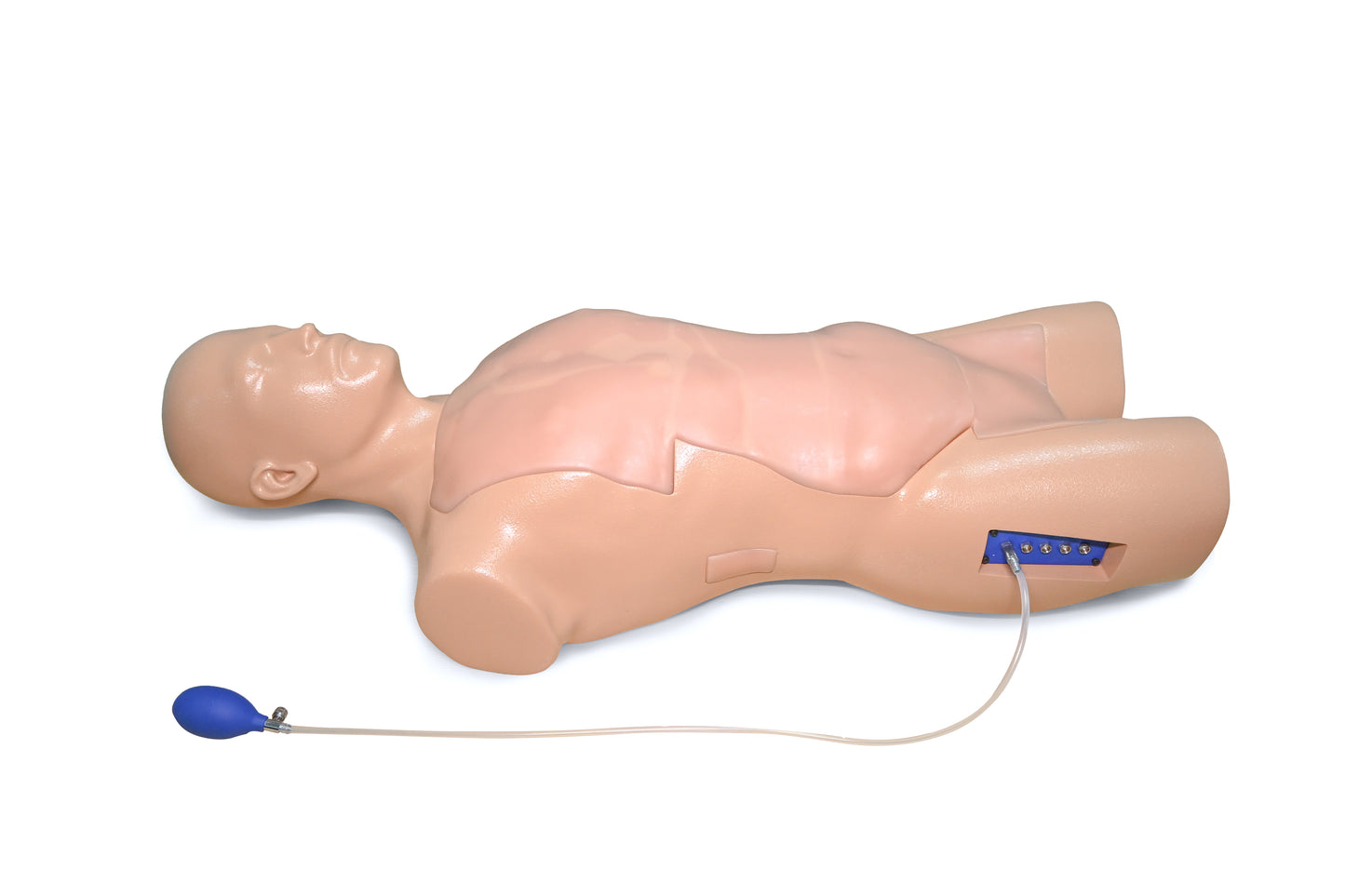 FAST Ultrasound Training Model (Transthoracic ONLY)
