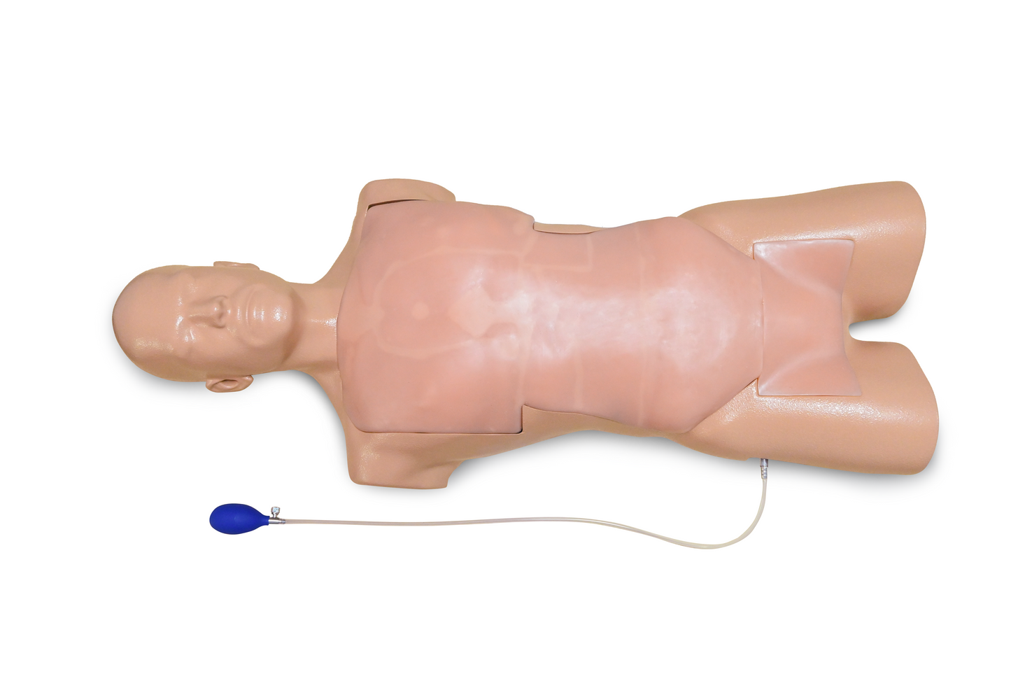 FAST Ultrasound Training Model (Transthoracic ONLY)