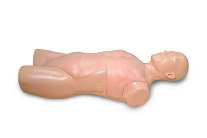 FAST Ultrasound Training Model (Transthoracic ONLY)