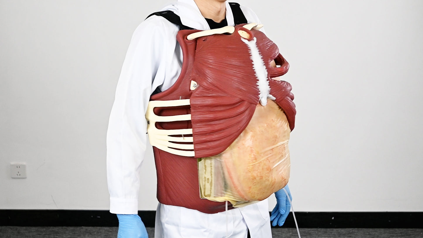 Thoracotomy and Pericardiocentesis Suit