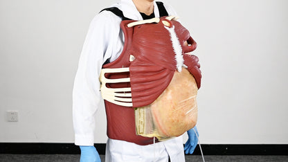Thoracotomy and Pericardiocentesis Suit