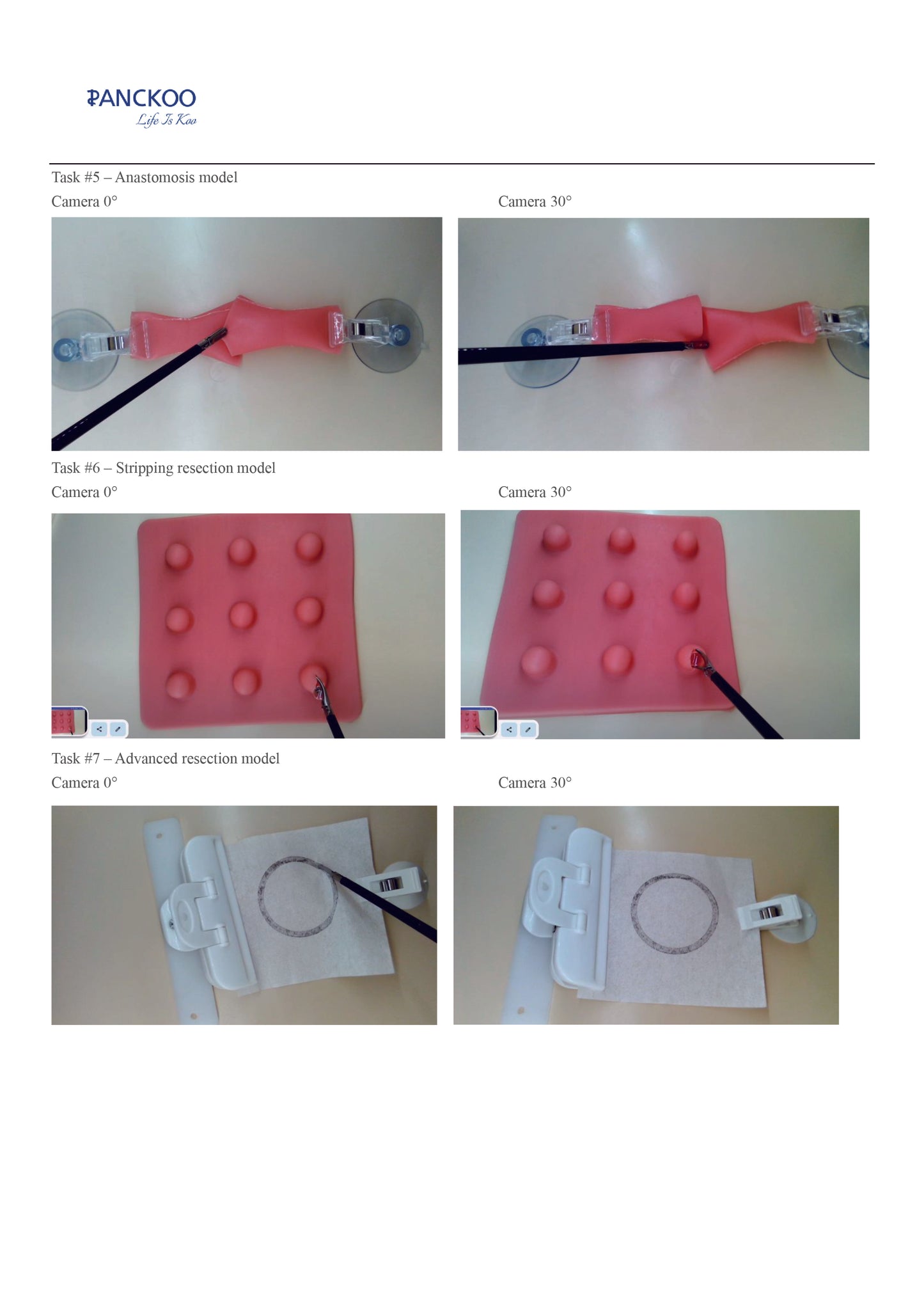 Panckoo Minimally Invasive Training System Model PC-SUE020