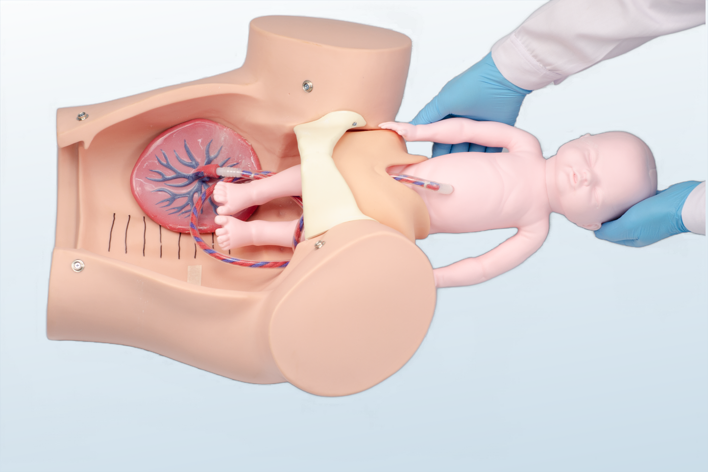 FREE SHIPPING:  Advanced Childbirth Simulator (MOQ 2 pcs)