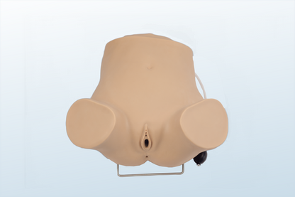 FREE SHIPPING: Advanced Gynecologic Examination Trainer （MOQ 2 pcs)