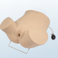 FREE SHIPPING:  Advanced Gynecologic Skills Simulator(MOQ 2 pcs)