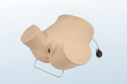 FREE SHIPPING:  Advanced Gynecologic Skills Simulator(MOQ 2 pcs)