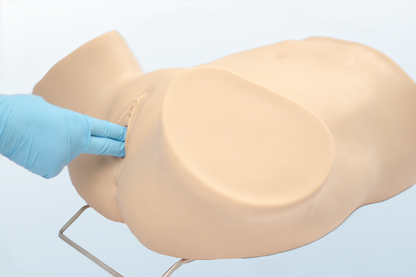 FREE SHIPPING:  Advanced Gynecologic Skills Simulator(MOQ 2 pcs)
