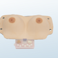 FREE SHIPPING:  Wearable Breast Examination Trainer  (MOQ 1 pcs)