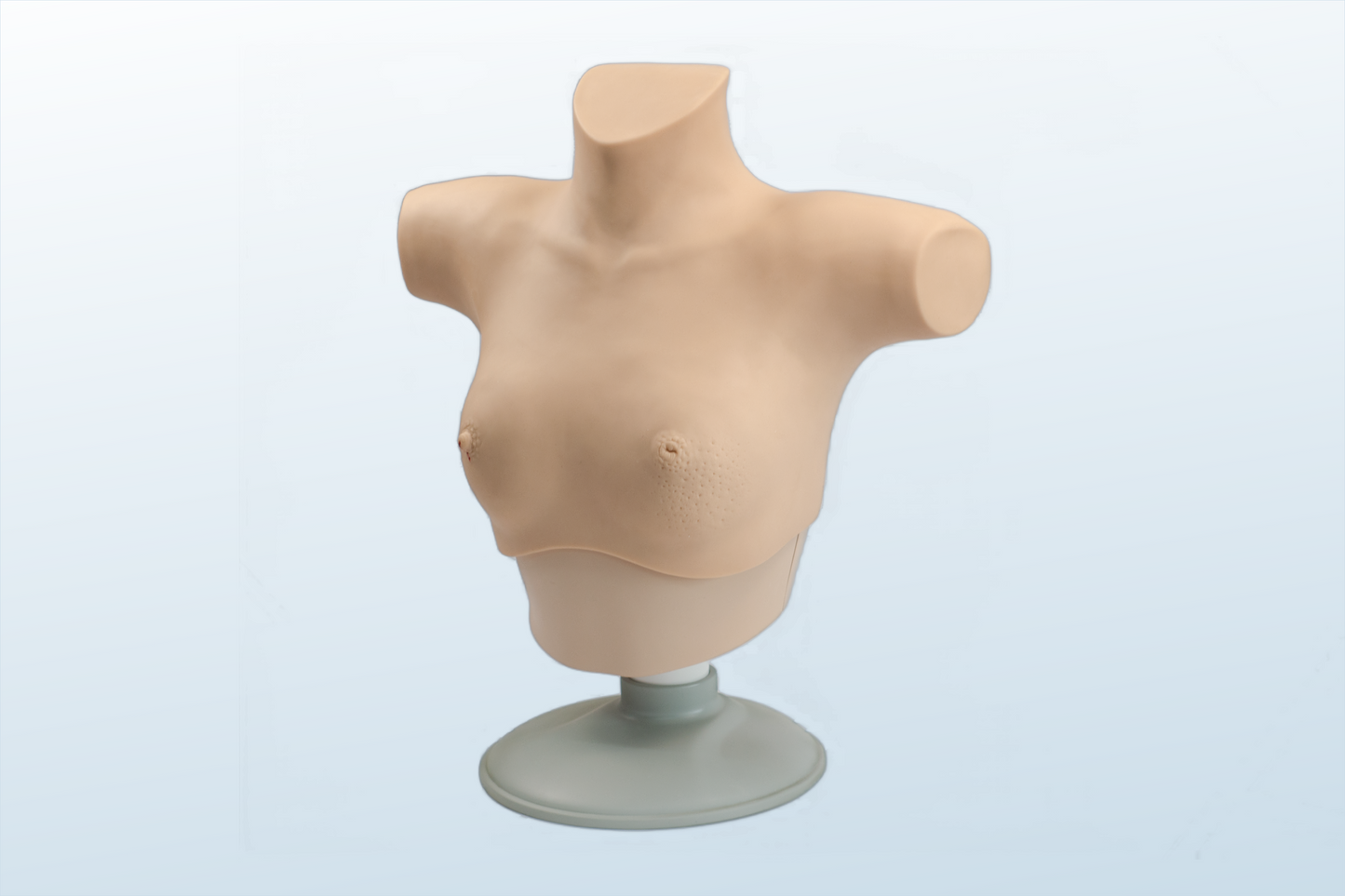 FREE SHIPPING:  Breast Examination Skills Trainer (MOQ 1 pc)