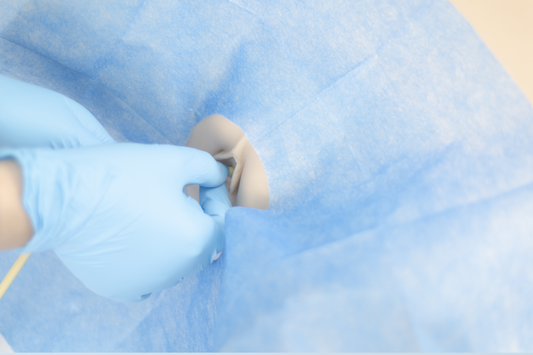 Female Catheterization Trainer (MOQ 2 pcs)