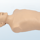 FREE SHIPPING:  Airway Management Torso(MOQ 1 pc)