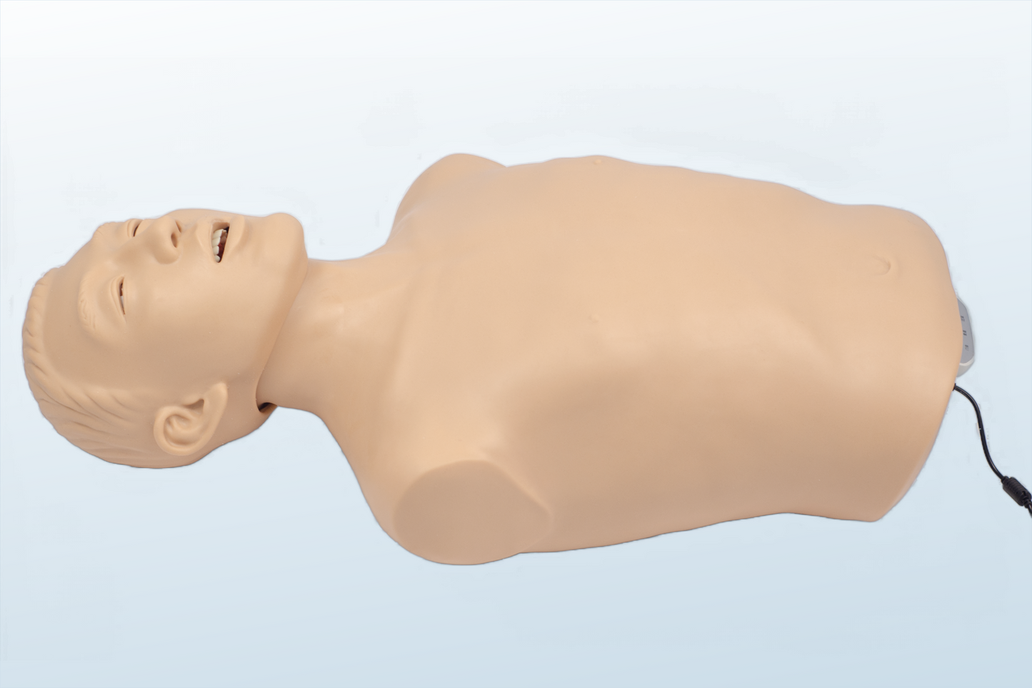 FREE SHIPPING:  Airway Management Torso(MOQ 1 pc)