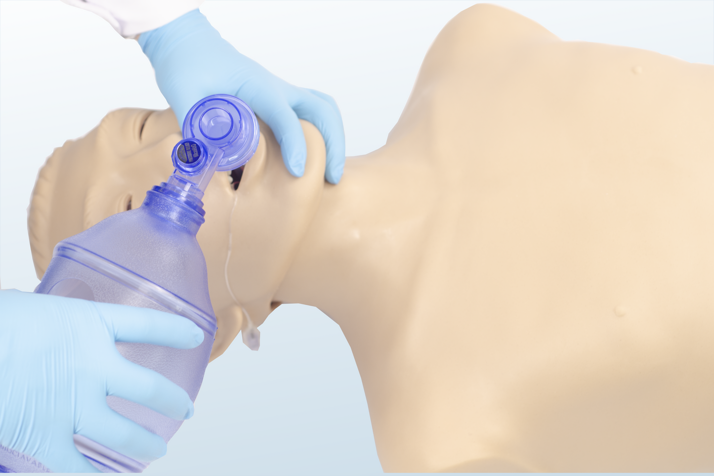 FREE SHIPPING:  Airway Management Torso(MOQ 1 pc)