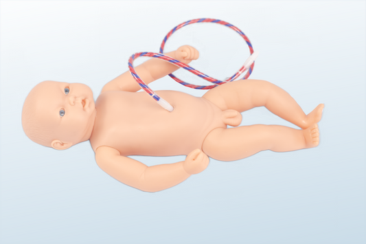 Neonate Umbi Care Manikin  (MOQ 1 pc)