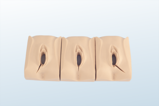 Episiotomy and Suturing Training(MOQ 2 pcs)