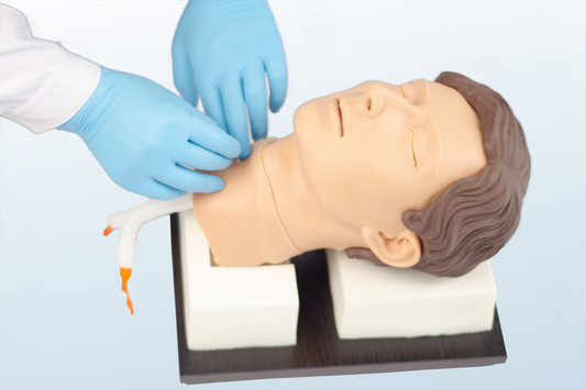 Cricothyrotomy and Tracheostomy Trainer
