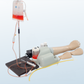 FREE SHIPPING:  Dorsal Metacarpal  Intravenous Infusion Model (MOQ 1 pc)