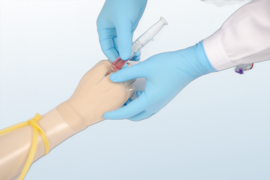 Dorsal Metacarpal Intravenous Infusion Model