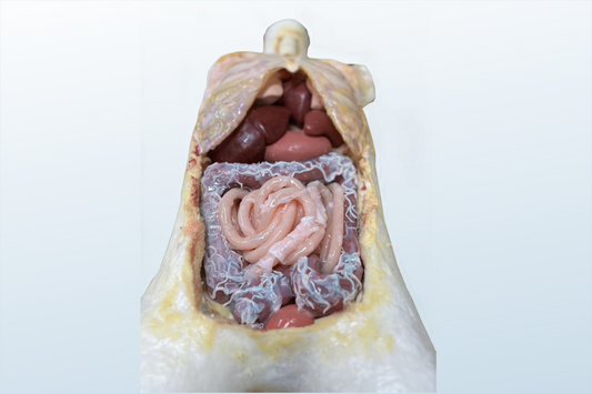 Special Operations Suit (MOQ 1 pc)