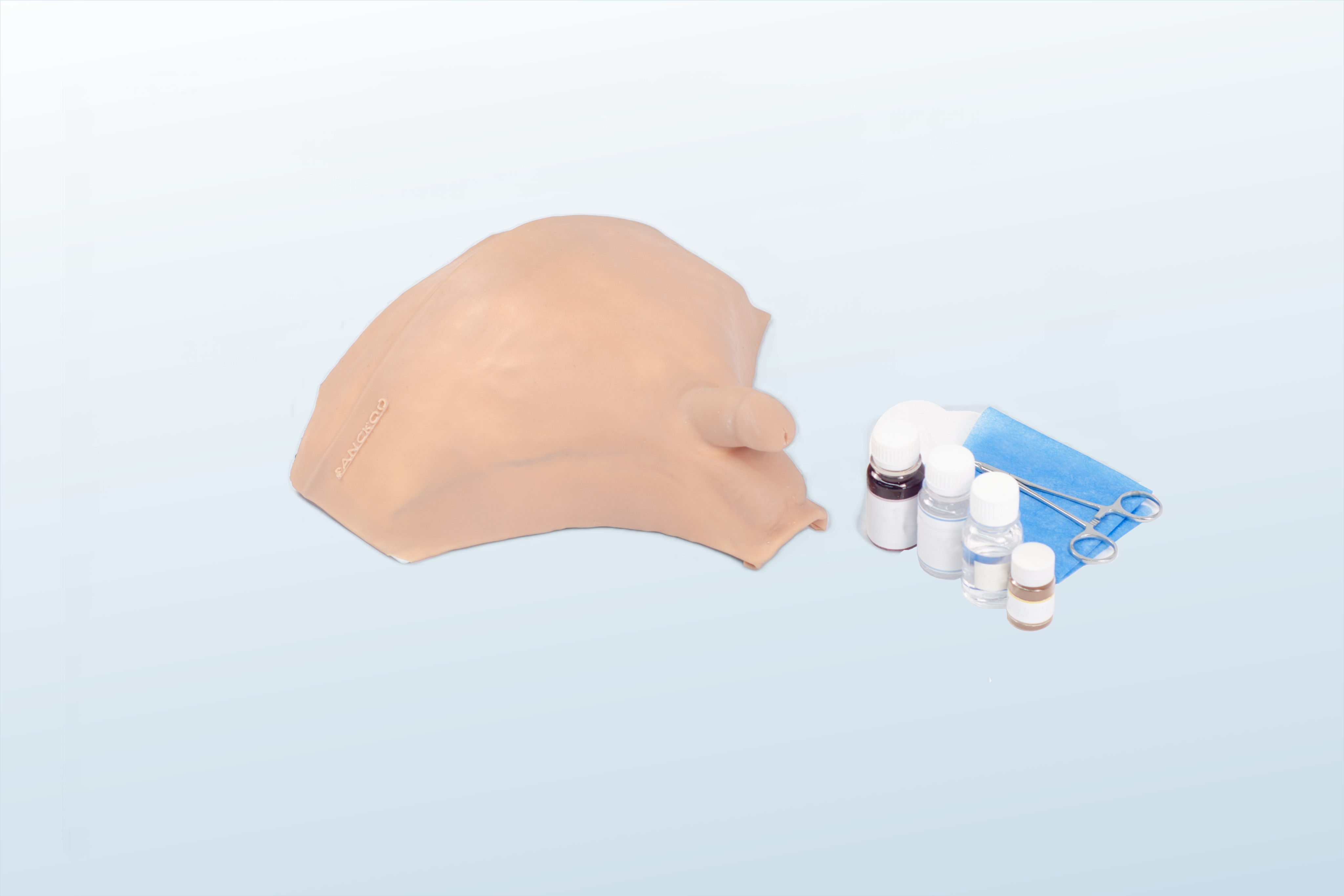 Decompressive Cystocentesis/Bladder Puncture Training Simulator (MOQ 4 ...