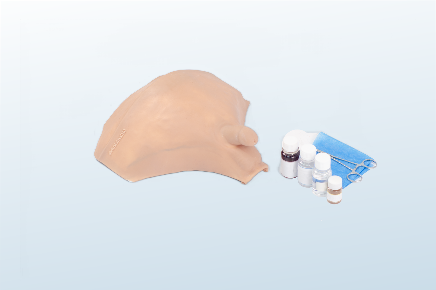 FREE SHIPPING: Decompressive Cystocentesis/Bladder Puncture  Training Simulator  (MOQ 4 pcs)