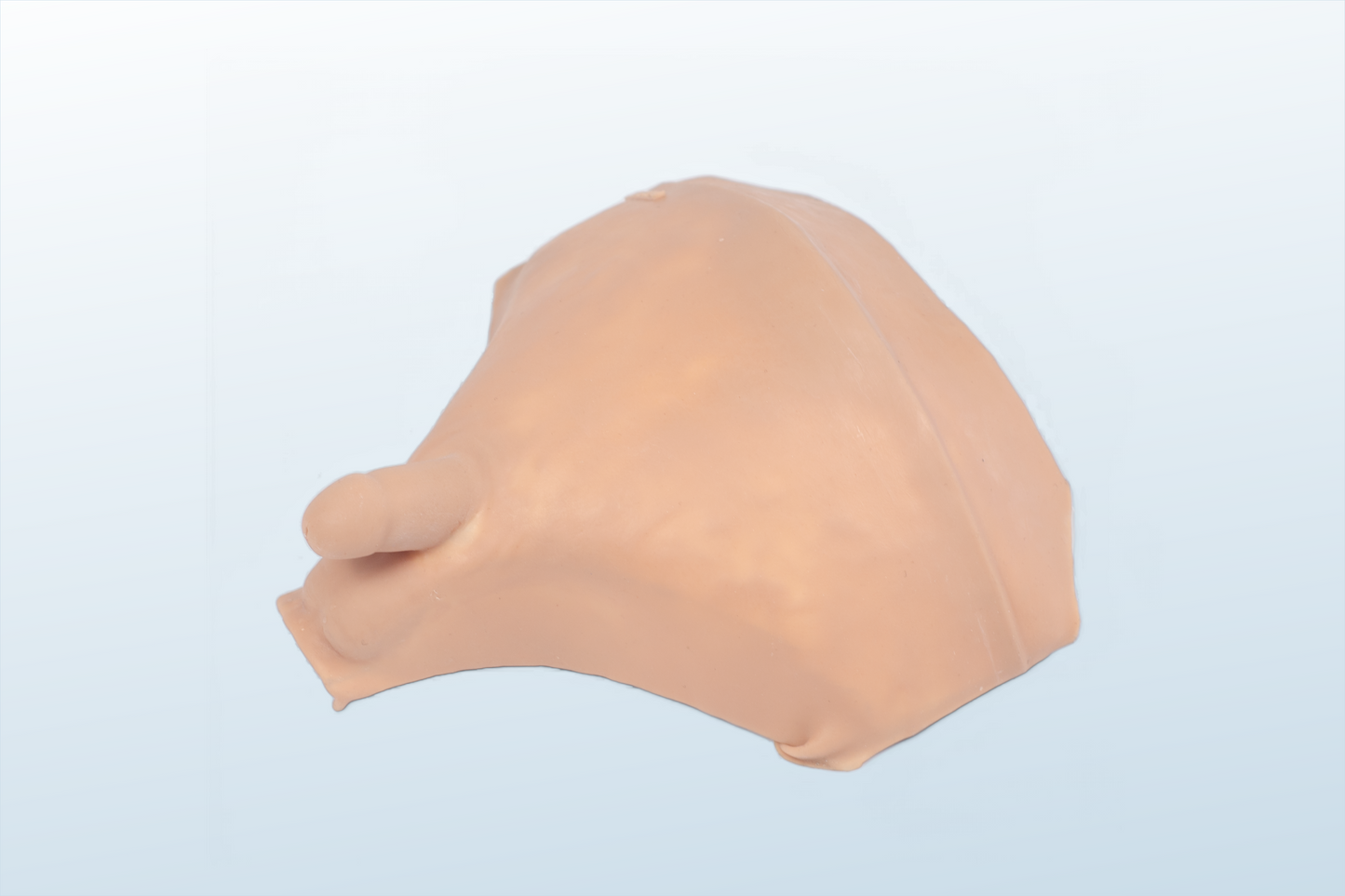 FREE SHIPPING: Decompressive Cystocentesis/Bladder Puncture  Training Simulator  (MOQ 4 pcs)