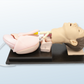 FREE SHIPPING: Adult Airway Management Model (MOQ 2 pcs)