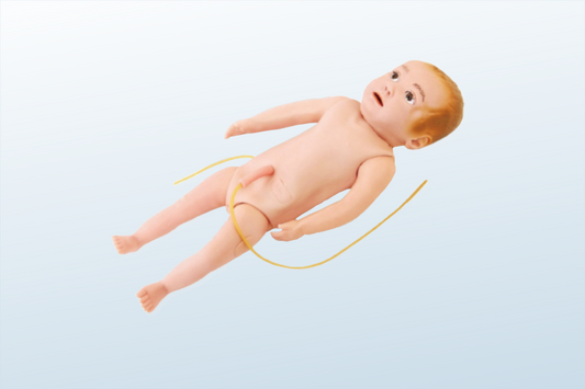 Infant Full Body Venipuncture Model