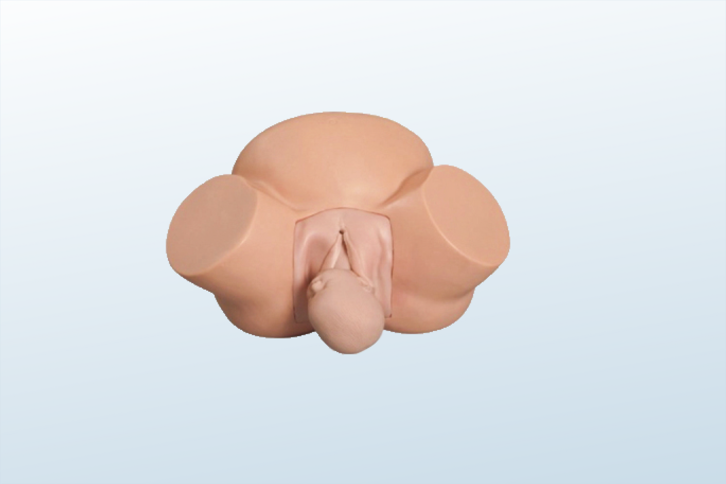 Obstetric Manikin