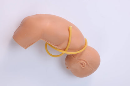 Neonatal Lumbar Puncture Simulator