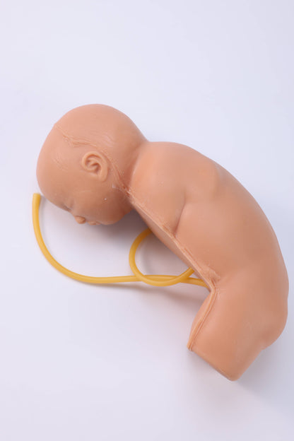 Neonatal Lumbar Puncture Simulator