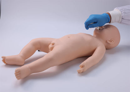 Infant Endotracheal Intubation Simulator