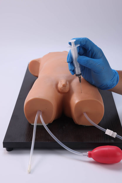 Pediatric  Femoral Vein and Artery Puncture Model