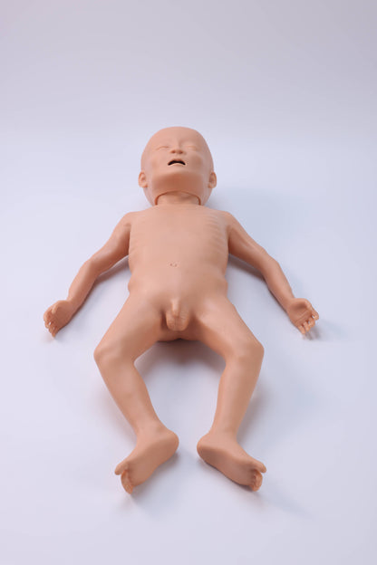 Infant Malnutrition Model