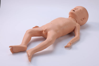 Infant Malnutrition Model