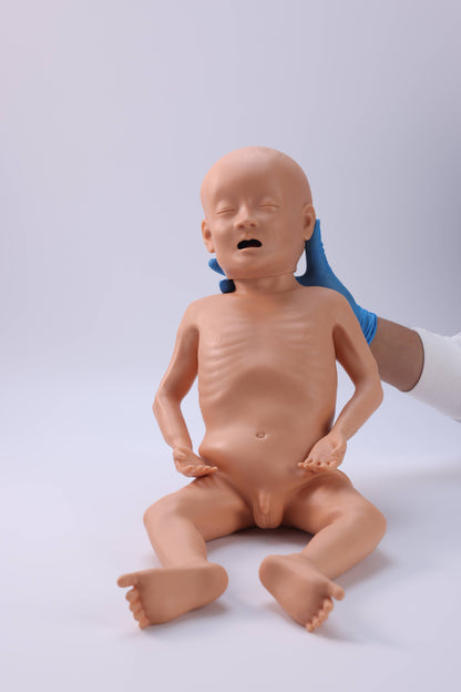 Infant Malnutrition Model