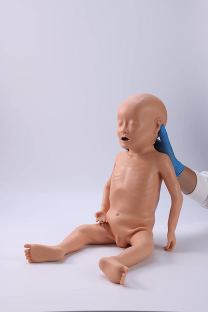 Infant Malnutrition Model