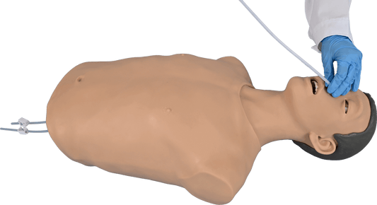 Nasogastric Tube Insertion Training Model